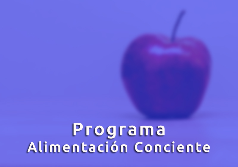 AlimentConcweb