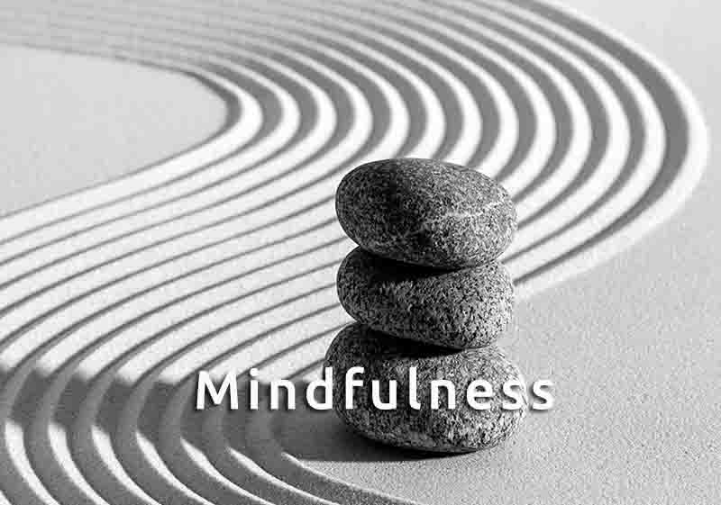 mindfulnessweb
